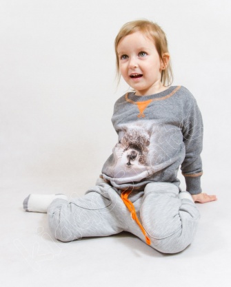 Bluza chłopięca z wiewiórką